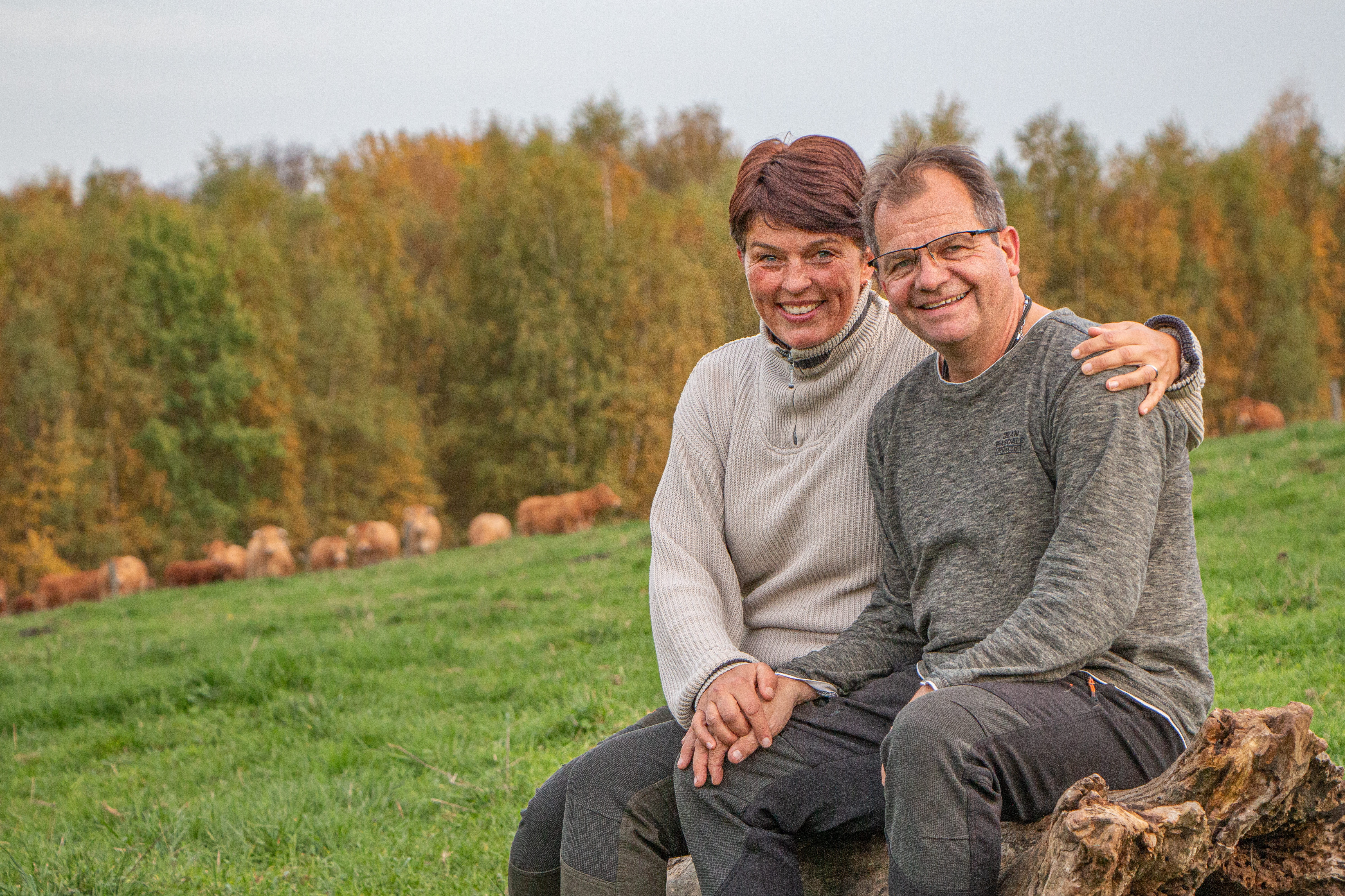 regionale Produkte - Wirges - Hofladen Mai 