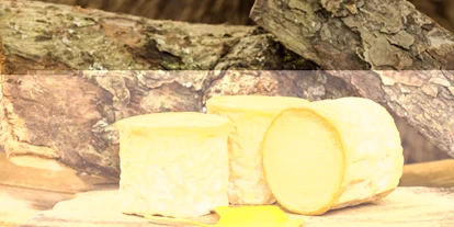 regionale Produkte - Honig und Honigprodukte - Sachsen-Anhalt - Unser "Elbröwer" - eine besondere Spezialität - Glinder Ziegenhof