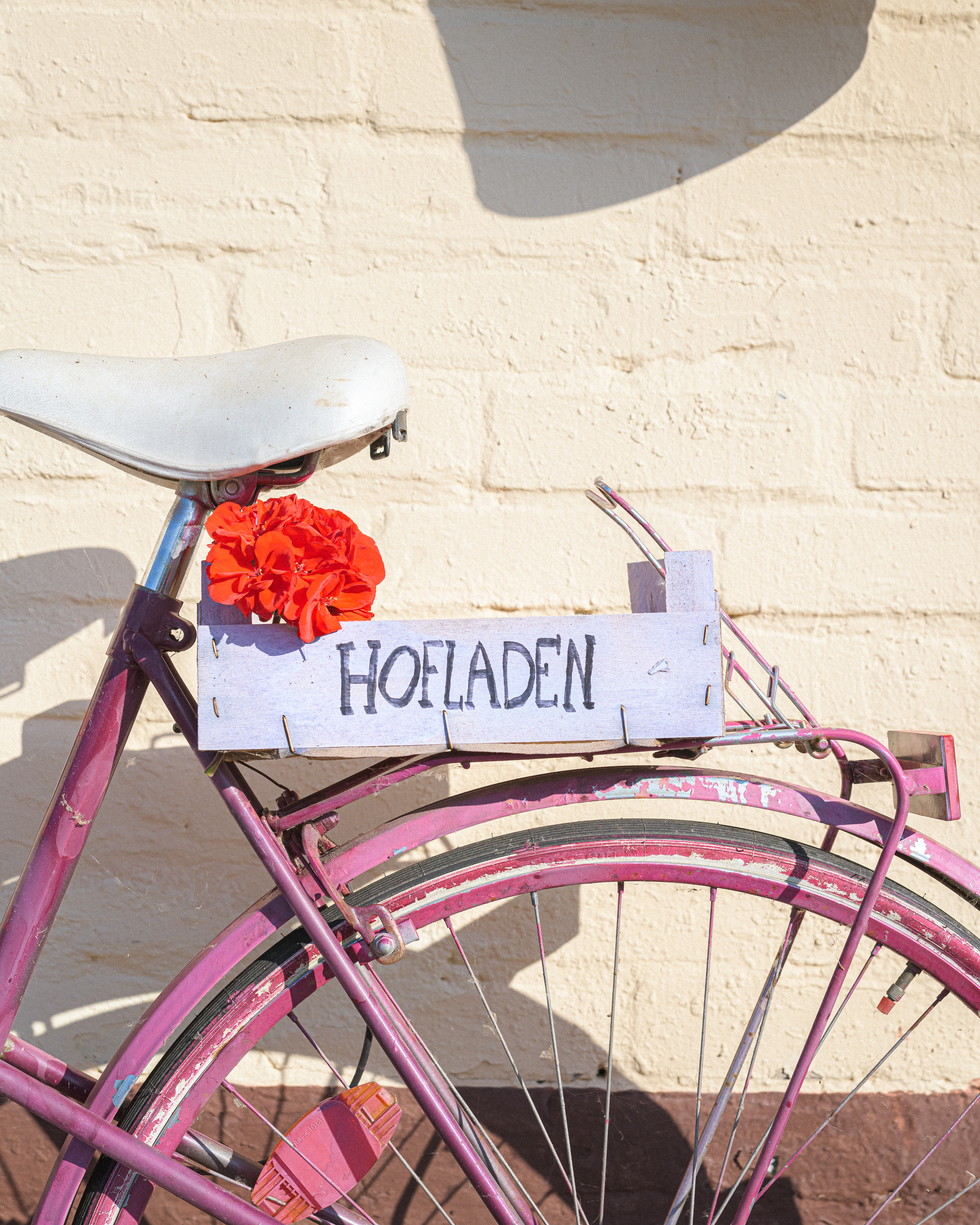 regionale Produkte - Beeren: Erdbeeren - Deutschland - Gut Marihn