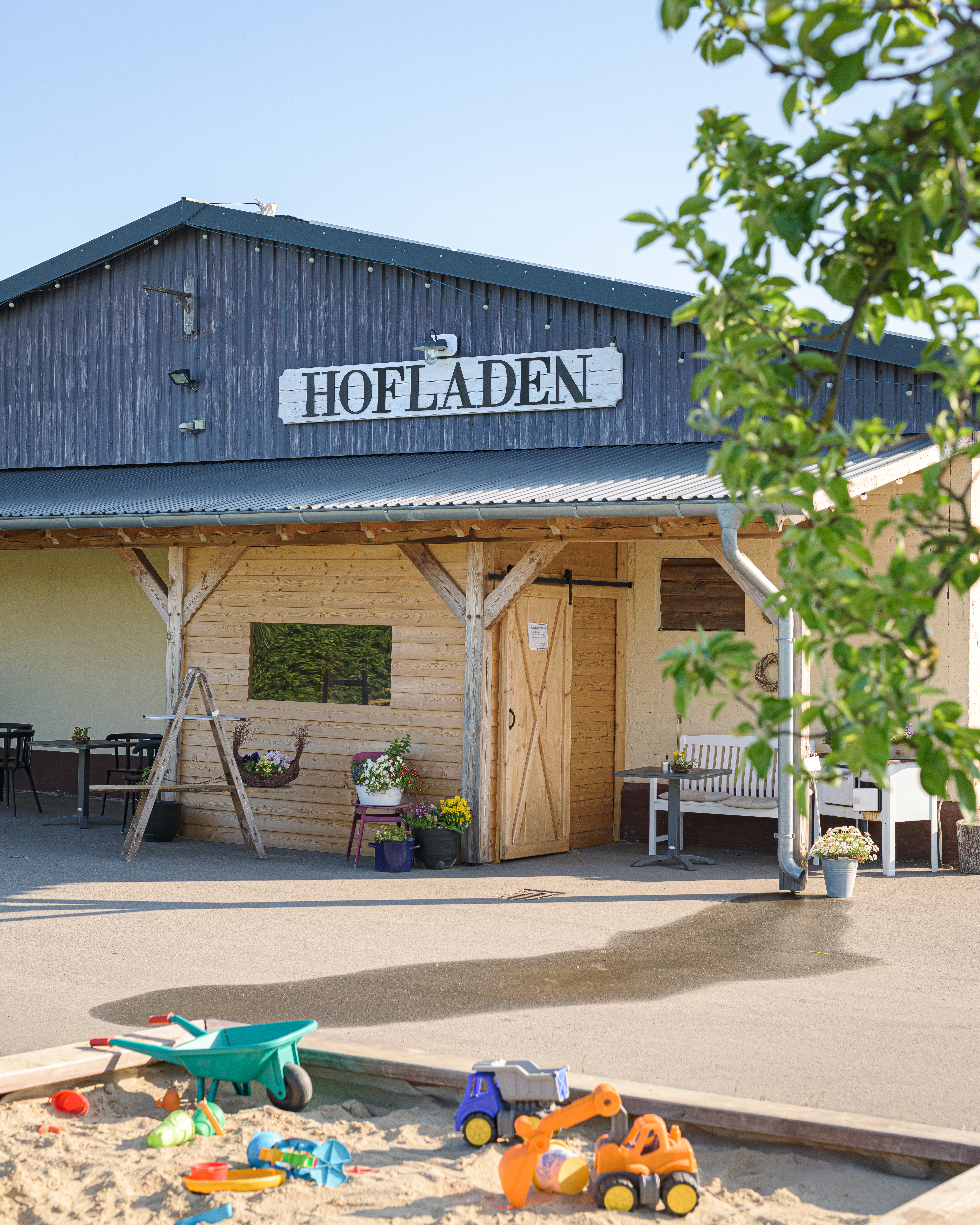regionale Produkte - Beeren: Erdbeeren - Deutschland - Gut Marihn