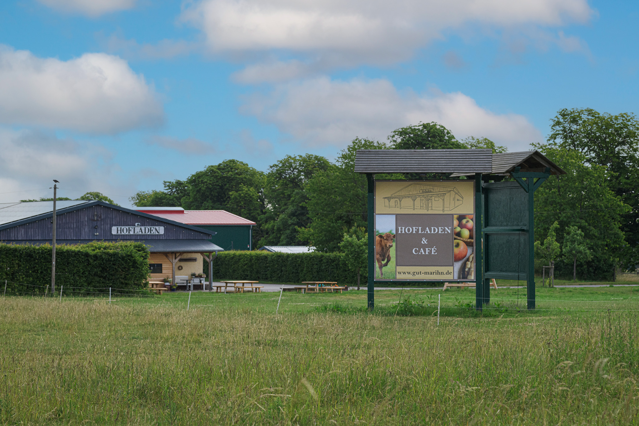 regionale Produkte - Beeren: Erdbeeren - Deutschland - Gut Marihn