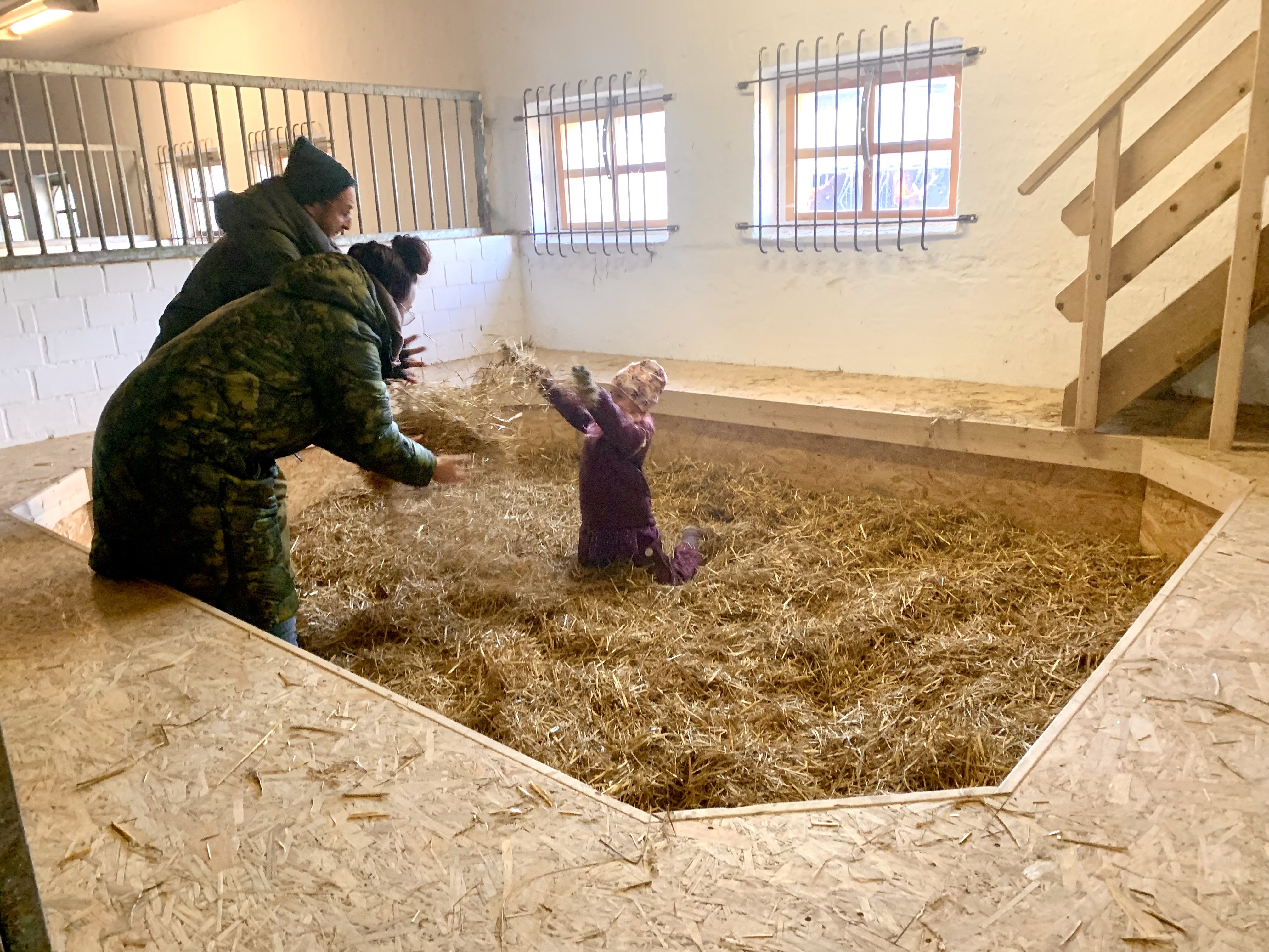regionale Produkte - Beeren: Erdbeeren - Deutschland - Spielescheune mit Strohboxen, Indoorsandkiste, Rutsche, Maltafeln - für jedes Wetter geeignet! Feiert gerne Euren Geburtstag bei uns :) - Gut Marihn
