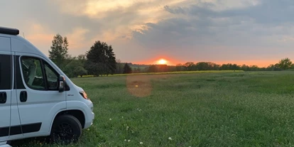 regionale Produkte - Beeren: Stachelbeeren - Wohnmobilstellplatz Geflügelhof Arnsdorf - Geflügelhof Arnsdorf