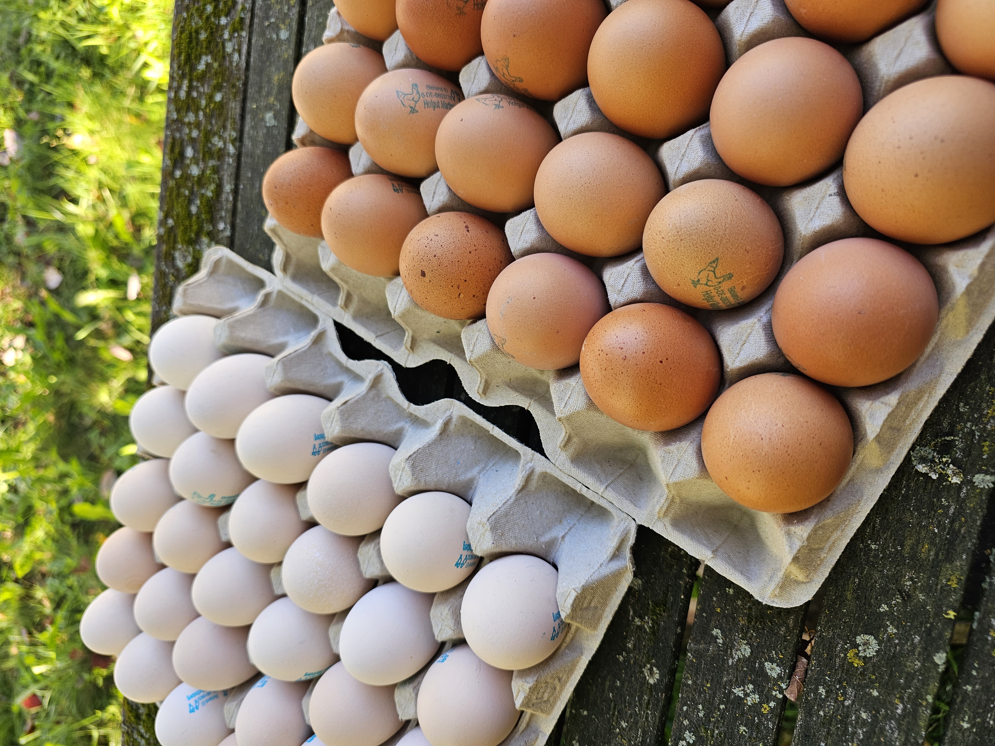 regionale Produkte - Biobetrieb - Hofgut Martinsberg