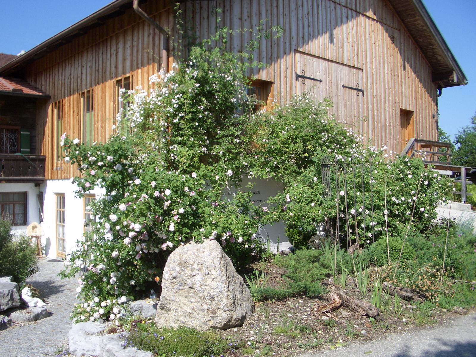 regionale Produkte - Honig und Honigprodukte - Laufen (Berchtesgadener Land) - Ein schöner Frühsommertag mit Blick auf den Ladeneingang hinter den Rosen. - Beim Moiern z'Straß