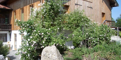 regionale Produkte - Honig und Honigprodukte - Laufen (Berchtesgadener Land) - Ein schöner Frühsommertag mit Blick auf den Ladeneingang hinter den Rosen. - Beim Moiern z'Straß