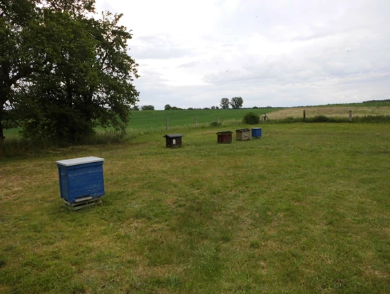 Hofladen: Lagerbeuten - Imkerei zum Bienenkorb