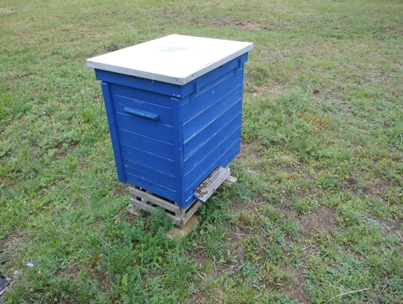 Hofladen: Lagerbeute, Hochwaben - Imkerei zum Bienenkorb