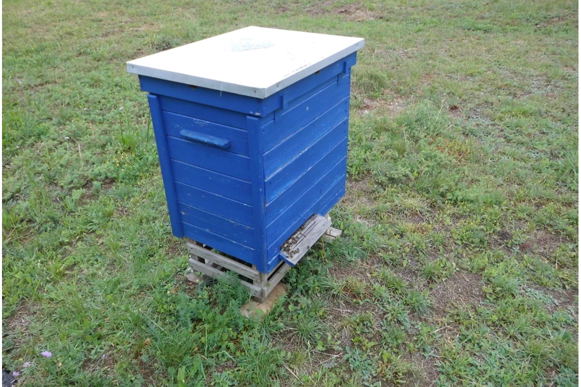 Hofladen: Lagerbeute, Hochwaben - Imkerei zum Bienenkorb