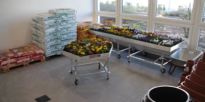 regionale Produkte - Beeren: Stachelbeeren - Agraset Landmarkt
