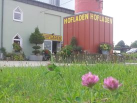 regionale Produkte - Gemüse: Gurken - Deutschland - Hofladen Langenwolschendorf