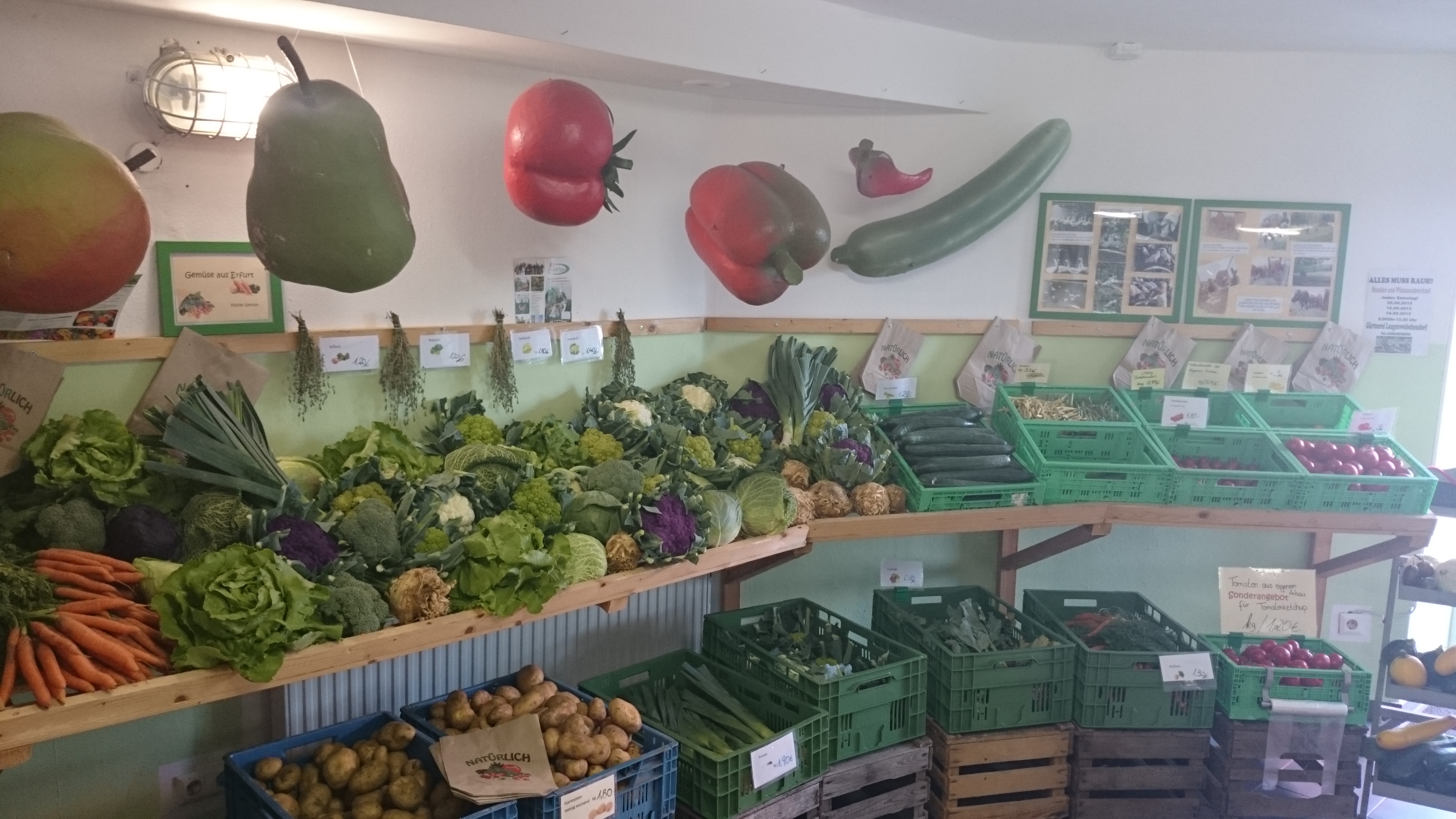 regionale Produkte - Gemüse: Gurken - Deutschland - Hofladen Langenwolschendorf