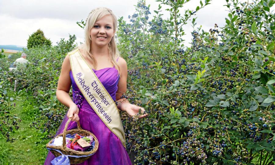 regionale Produkte - Gemüse: Gurken - Deutschland - Hofladen Langenwolschendorf