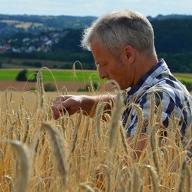 Hofladen: Als Biobauer ist der Ackerbau und die Tierhaltung unsere Leidenschaft. - BERGHOF