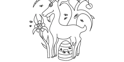 regionale Produkte - Gemüse: Tomaten - Kirchensittenbach - Reimehof - Der Ziegenhof in der Hersbrucker Alb