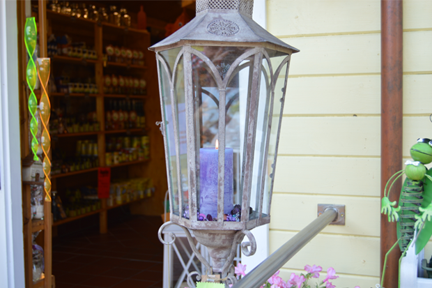 regionale Produkte - Beeren: Erdbeeren - Niedersachsen - Hof Dehlfing