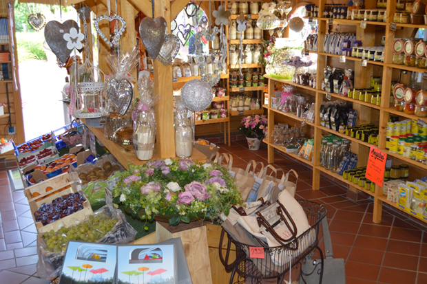 regionale Produkte - Beeren: Erdbeeren - Niedersachsen - Hof Dehlfing