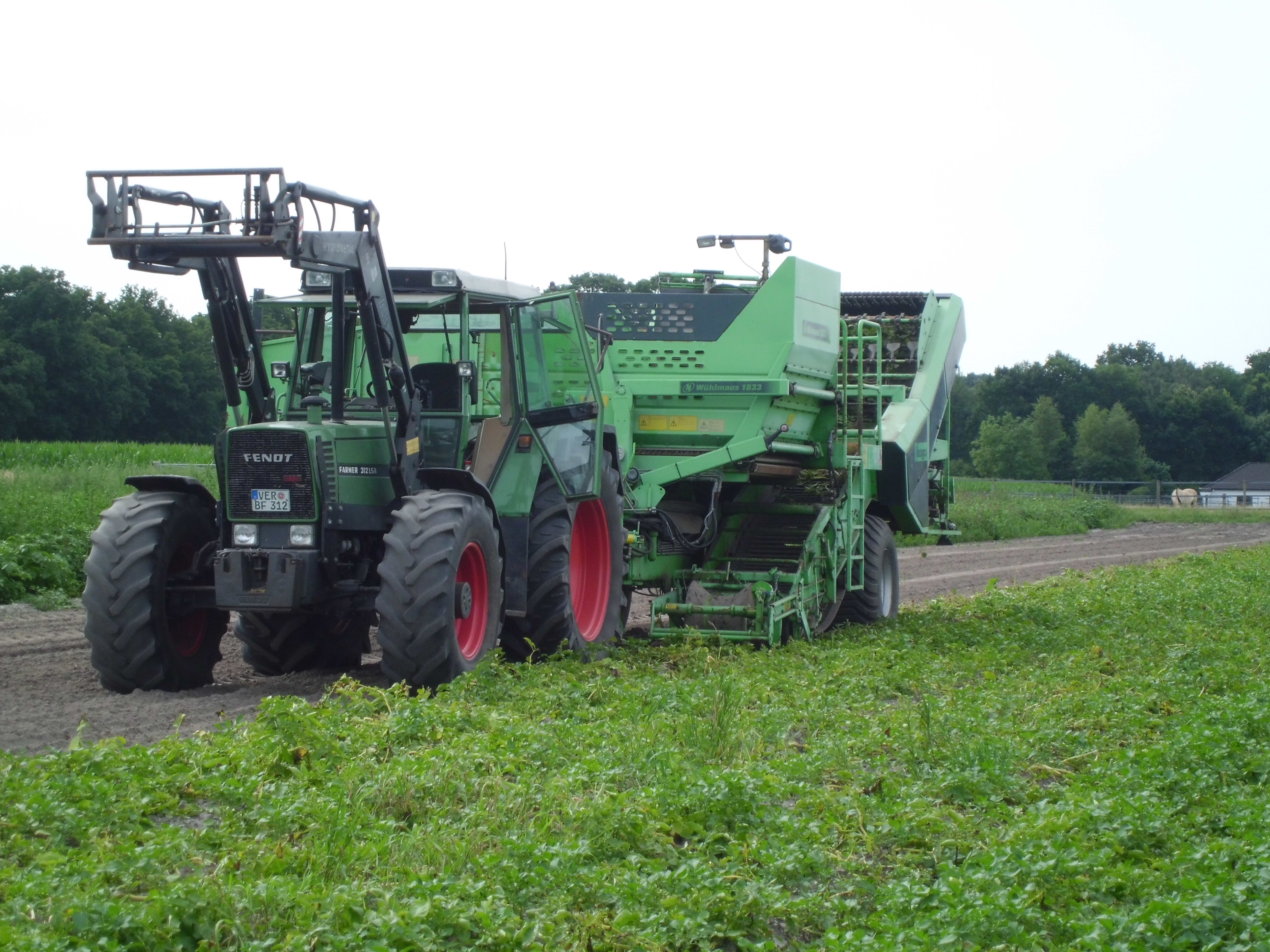 regionale Produkte - Beeren: Erdbeeren - Niedersachsen - Kartoffel ernte - Hofladen Früchtenicht