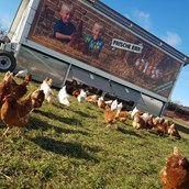 Hofladen - unser Hühnermobil mit 242 Tieren - Templiner Landprodukte
