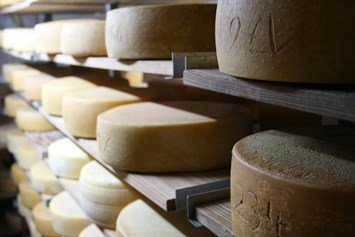 Hofladen: Bester Rohmilch-Käse aus unserer eigenen Verarbeitung auf dem Hof - Hof Lehnmühle