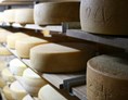 Hofladen: Bester Rohmilch-Käse aus unserer eigenen Verarbeitung auf dem Hof - Hof Lehnmühle