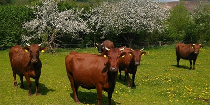 regionale Produkte - Alheim - Kirchhof