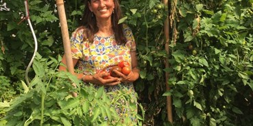 regionale Produkte - Gemüse: anderes - Hier pflücke ich , bei ca 40 Grad im Treibhaus Tomaten für meinen Hofladen. - Silvis Hofladen 