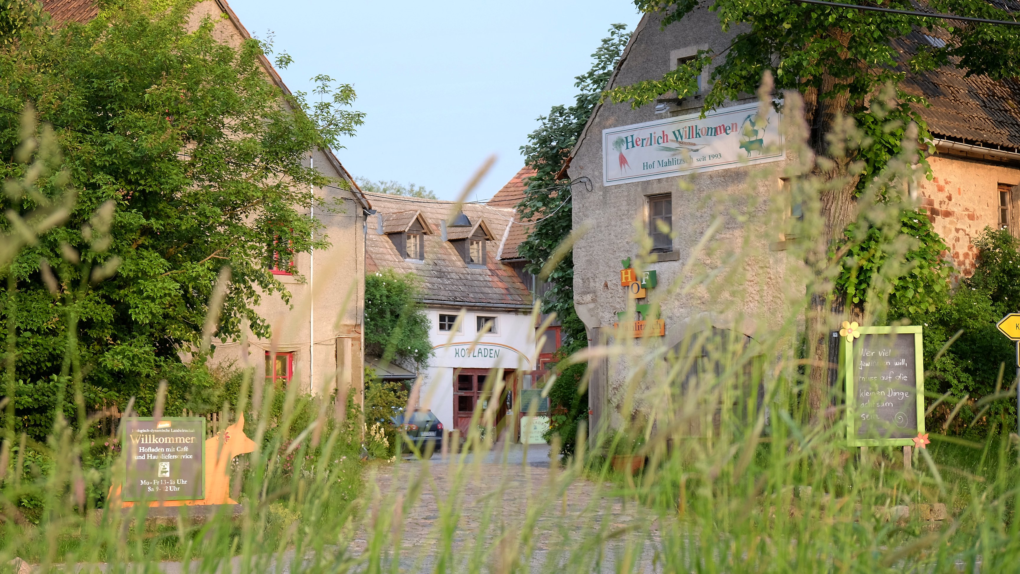 regionale Produkte - Beeren: Himbeeren - Nossen - Unser Hof - Hof Mahlitzsch