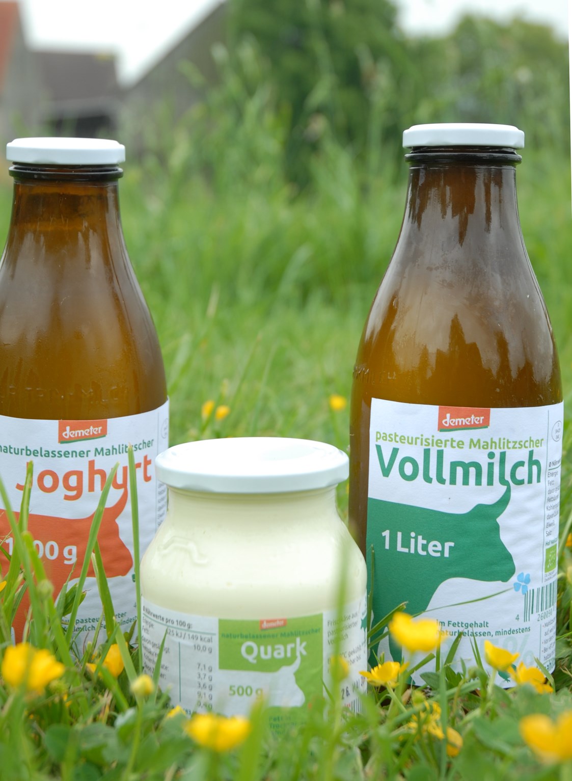 Hofladen: Molkereiprodukte vom Hof Mahlitzsch: Milch, Quark und Joghurt - Hof Mahlitzsch