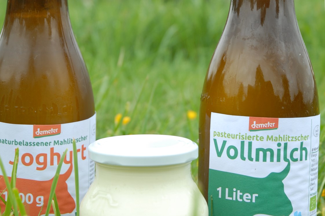 Hofladen: Molkereiprodukte vom Hof Mahlitzsch: Milch, Quark und Joghurt - Hof Mahlitzsch