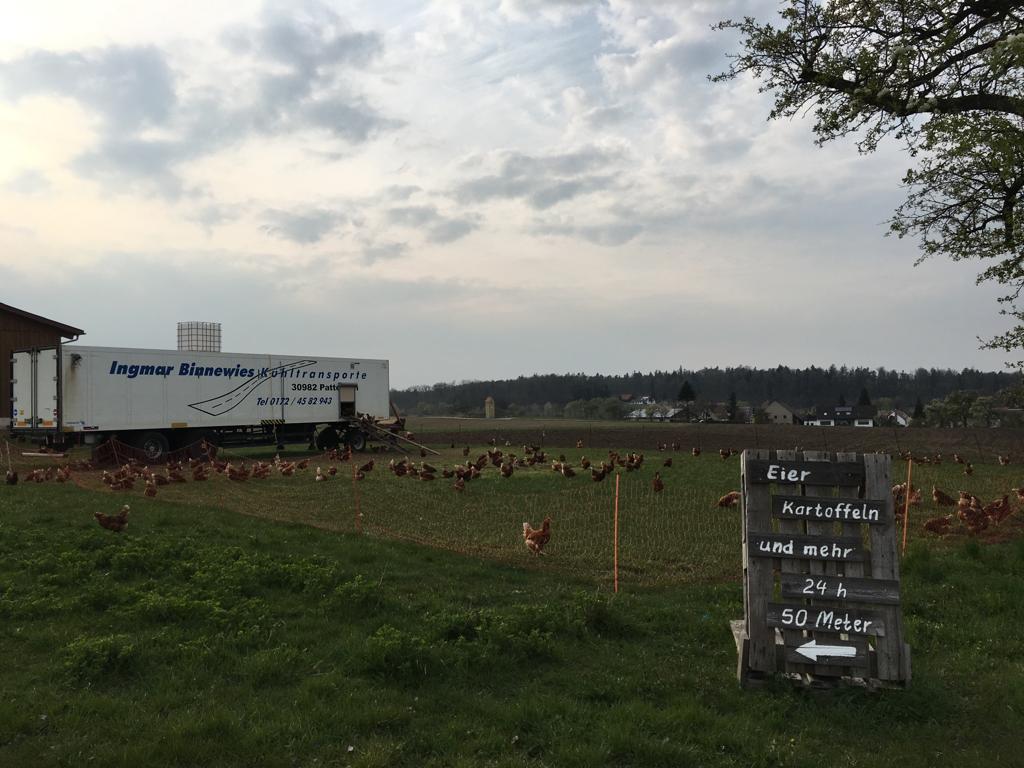 regionale Produkte - Mainhardt - Eierhüttle