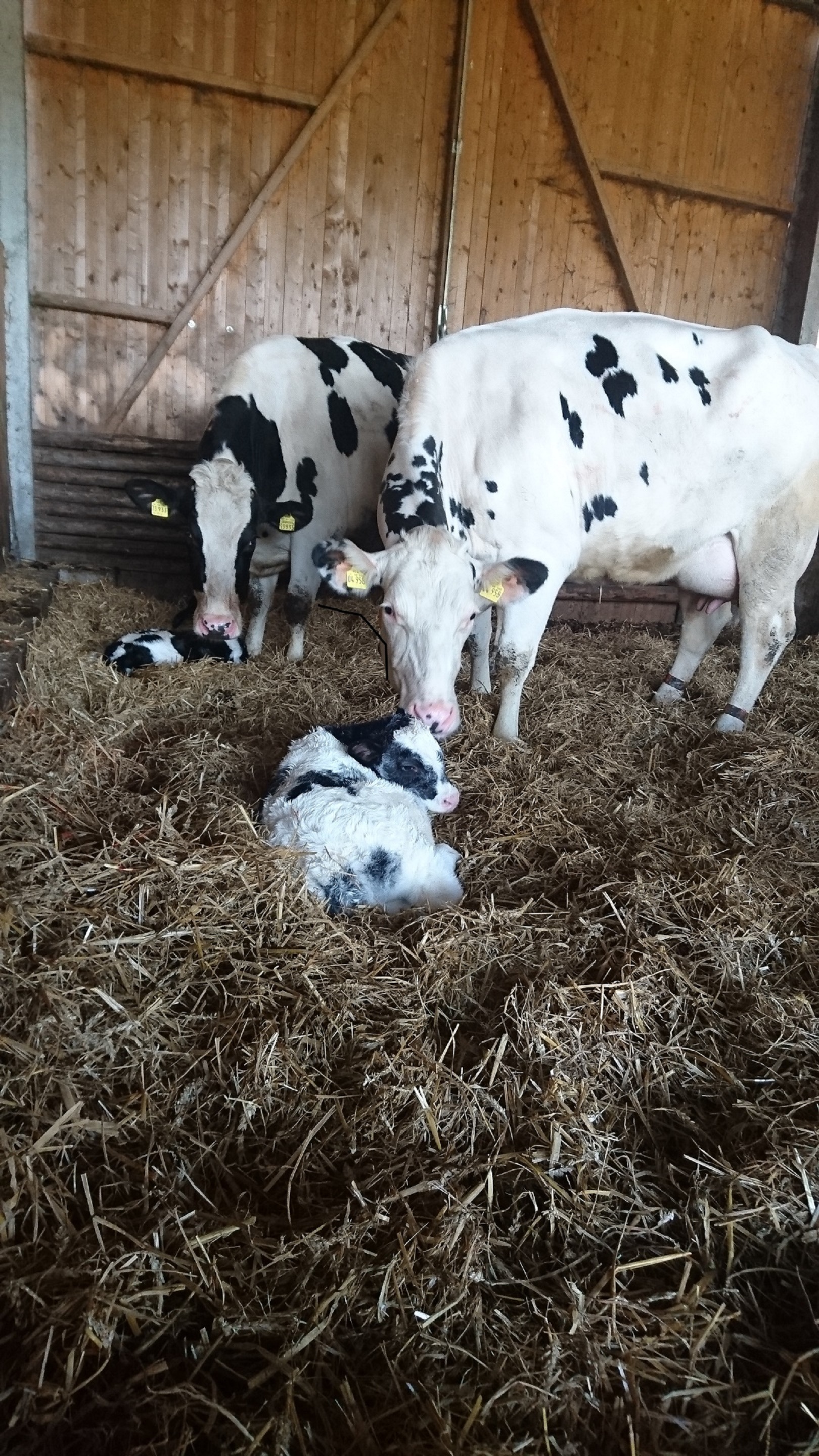 Hofladen: Bredemeier Bauernlädchen