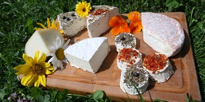 regionale Produkte - bunte Käseplatte Schafskäse - Hof im Greth 