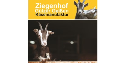 regionale Produkte - Tiere: Ziegen - Mecklenburg-Vorpommern - Ziegenhof Gülzer Geißen