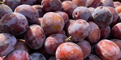 regionale Produkte - Beeren: Stachelbeeren - Vollert´s Hofladen