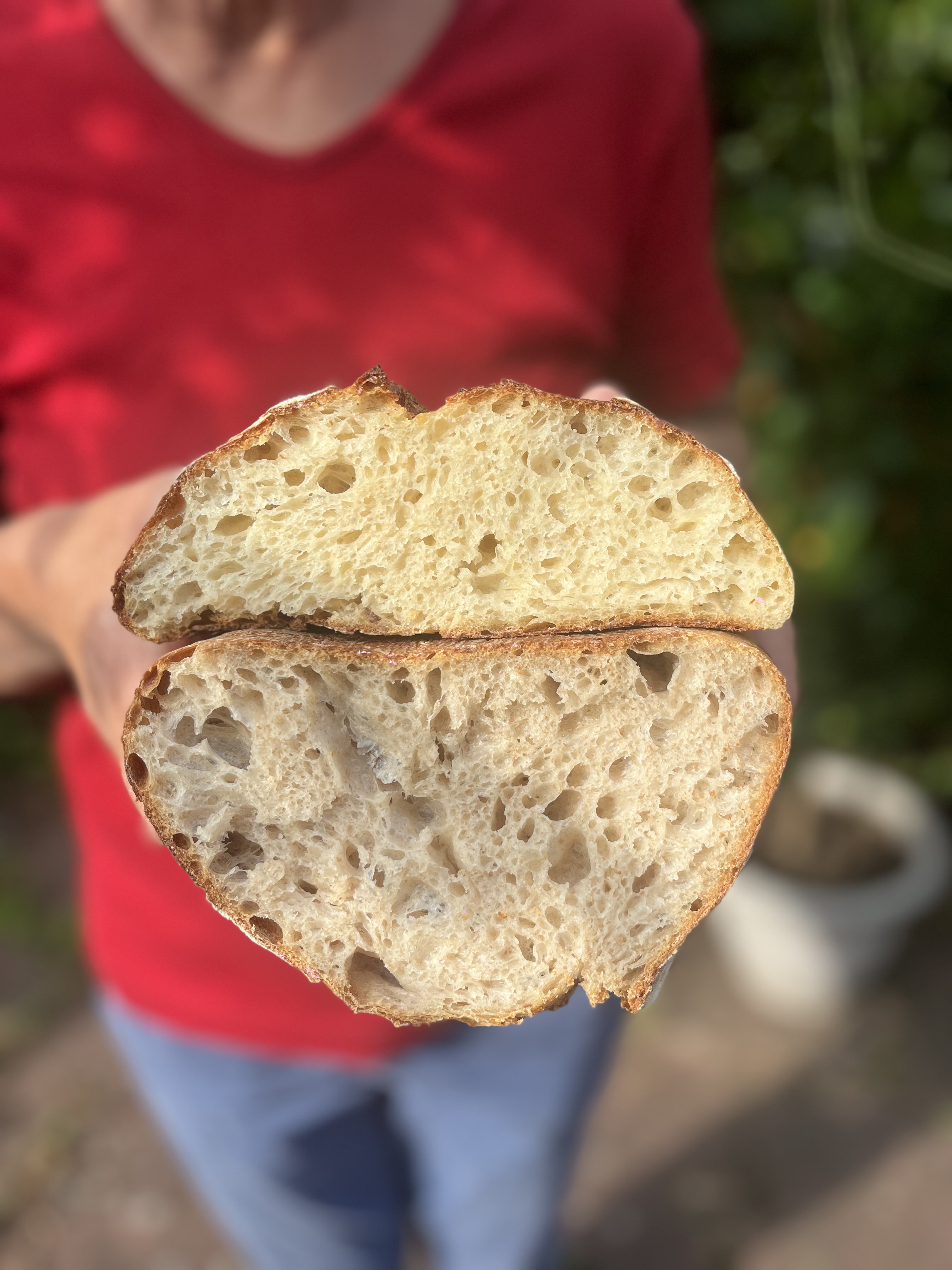 regionale Produkte - Gemüse: Gurken - Deutschland - Vollert´s Hofladen