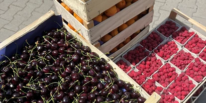 regionale Produkte - Beeren: Stachelbeeren - Vollert´s Hofladen