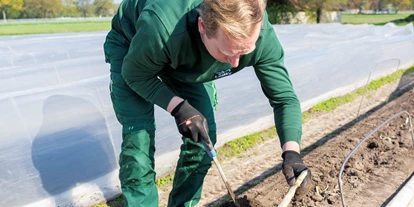 regionale Produkte - Beeren: Stachelbeeren - Hof Löbke GmbH und Co. KG