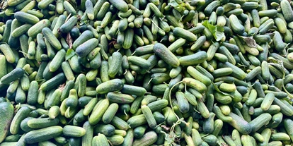 regionale Produkte - Beeren: Stachelbeeren - Hof Löbke GmbH und Co. KG