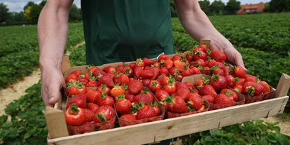 regionale Produkte - Beeren: Stachelbeeren - Hof Löbke GmbH und Co. KG