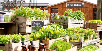 regionale Produkte - Beeren: Stachelbeeren - Hof Löbke GmbH und Co. KG