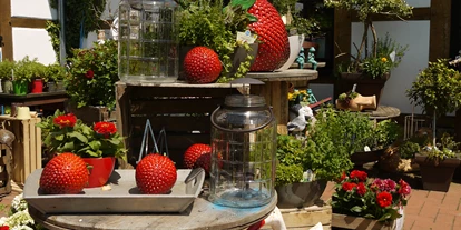 regionale Produkte - Beeren: Stachelbeeren - Hof Löbke GmbH und Co. KG