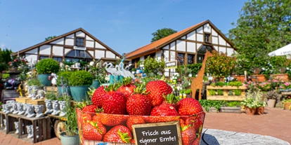 regionale Produkte - Beeren: Stachelbeeren - Hof Löbke GmbH und Co. KG