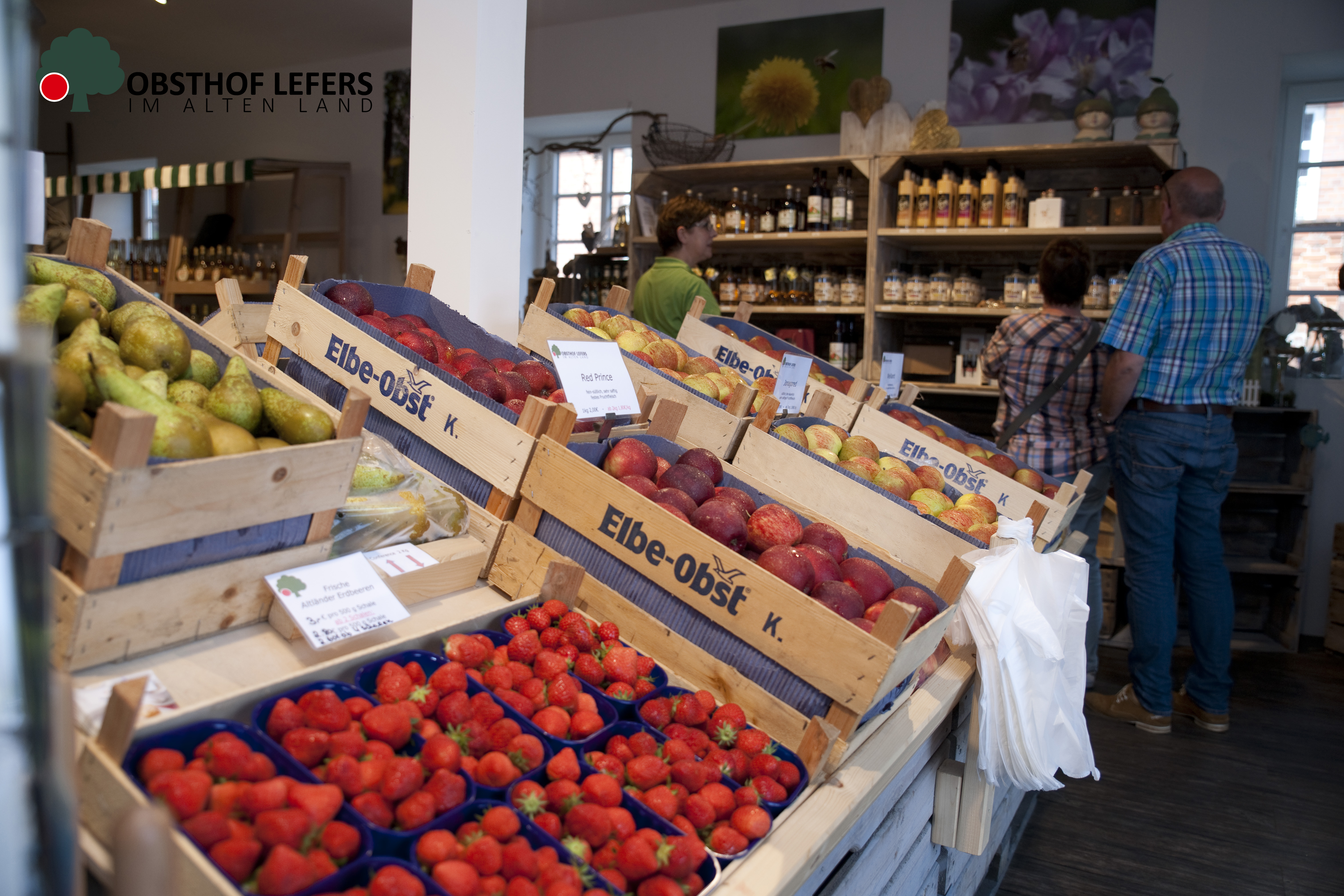 regionale Produkte - Gemüse: Gurken - Deutschland - Obsthof Lefers