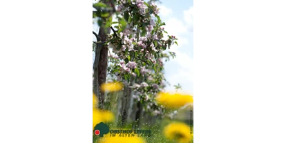regionale Produkte - Beeren: Stachelbeeren - Obsthof Lefers