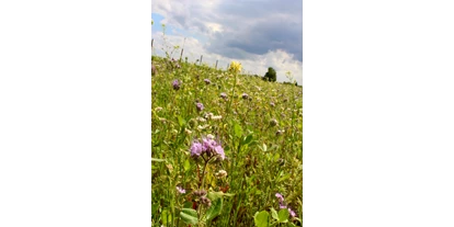 regionale Produkte - Beeren: Stachelbeeren - Obsthof Lefers