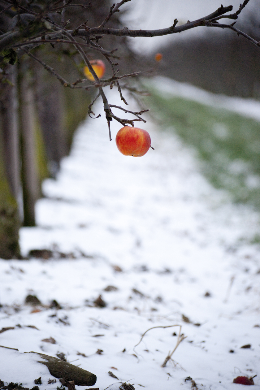 Hofladen: Obsthof Lefers