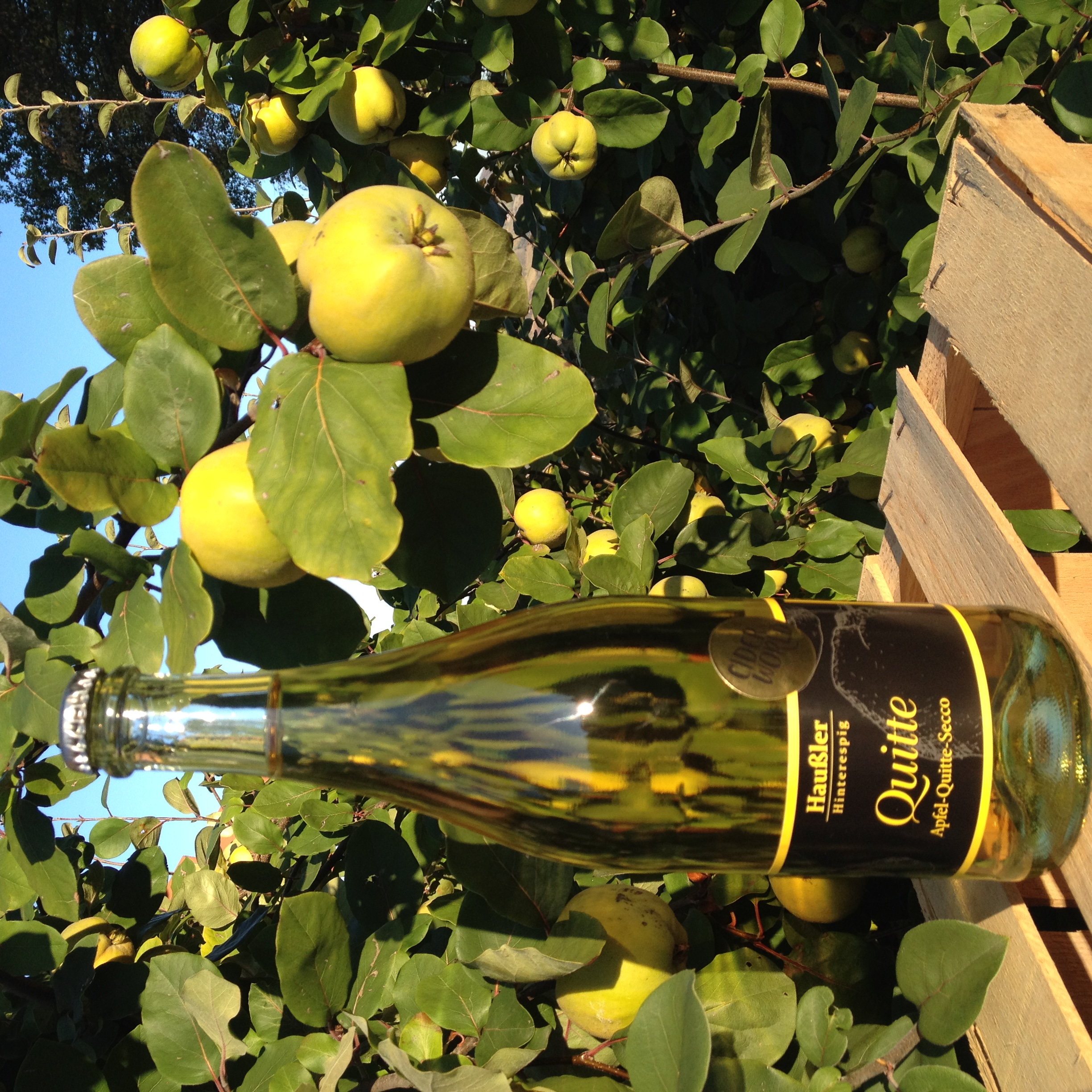 Hofladen: Haußler Hinterespig