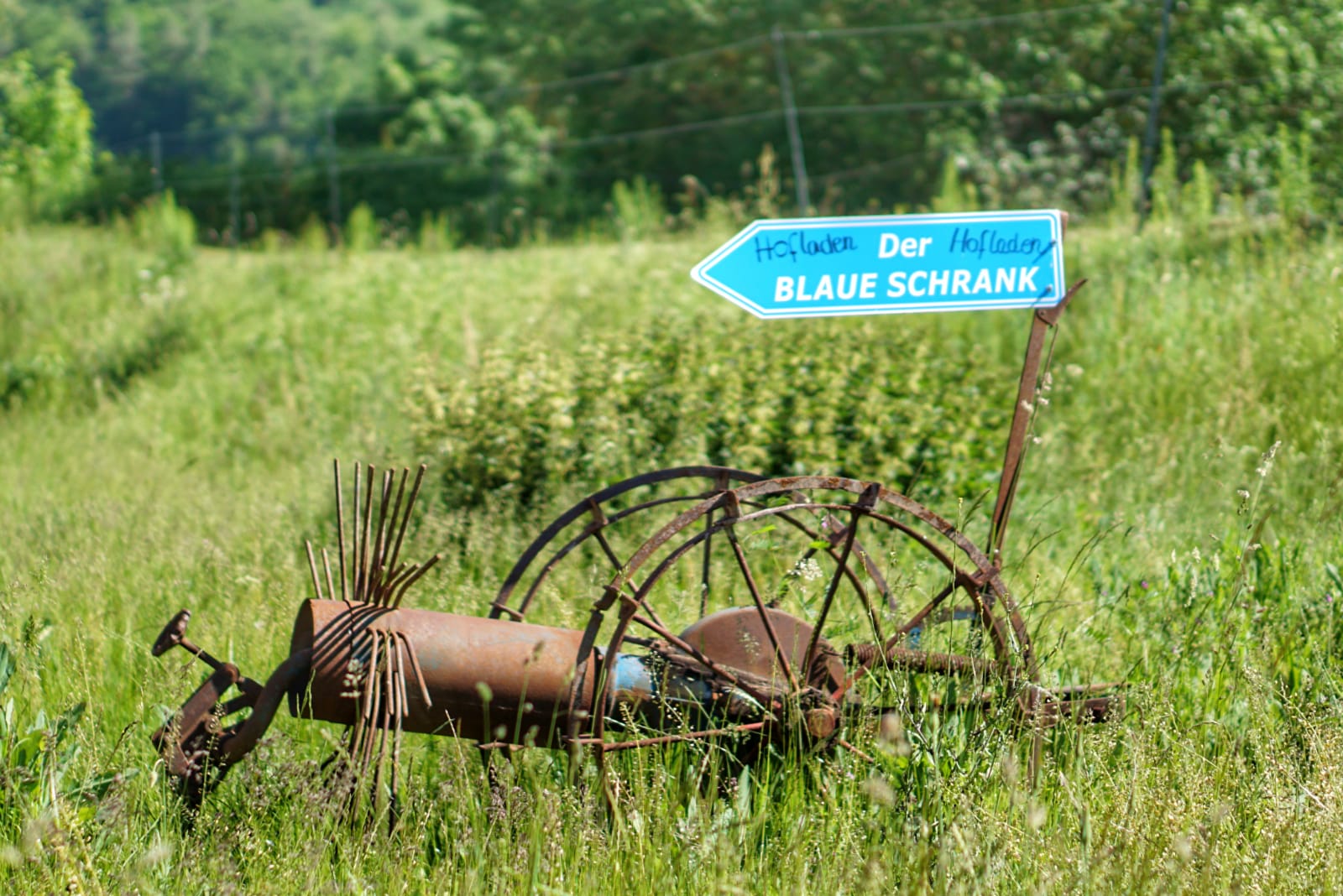 regionale Produkte - PLZ 99831 (Deutschland) - Der Blaue Schrank 