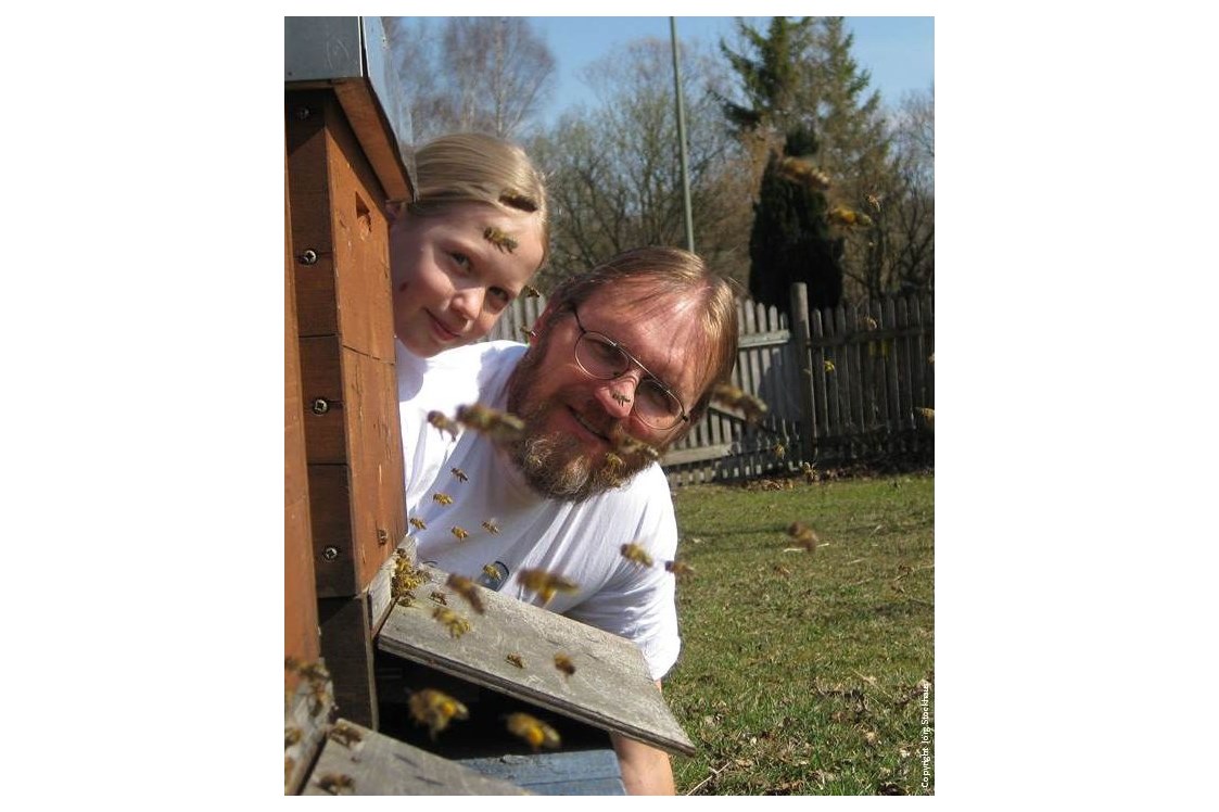 Hofladen: Unsere Bienen bei der Arbeit - Imkerei Majas Schlaraffenland